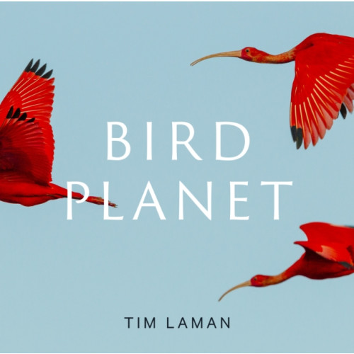 Abrams Bird Planet (inbunden, eng)