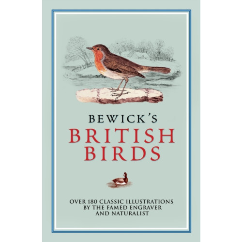 Arcturus publishing ltd Bewick's British Birds (häftad, eng)