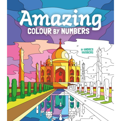 Arcturus publishing ltd Amazing Colour by Numbers (häftad, eng)