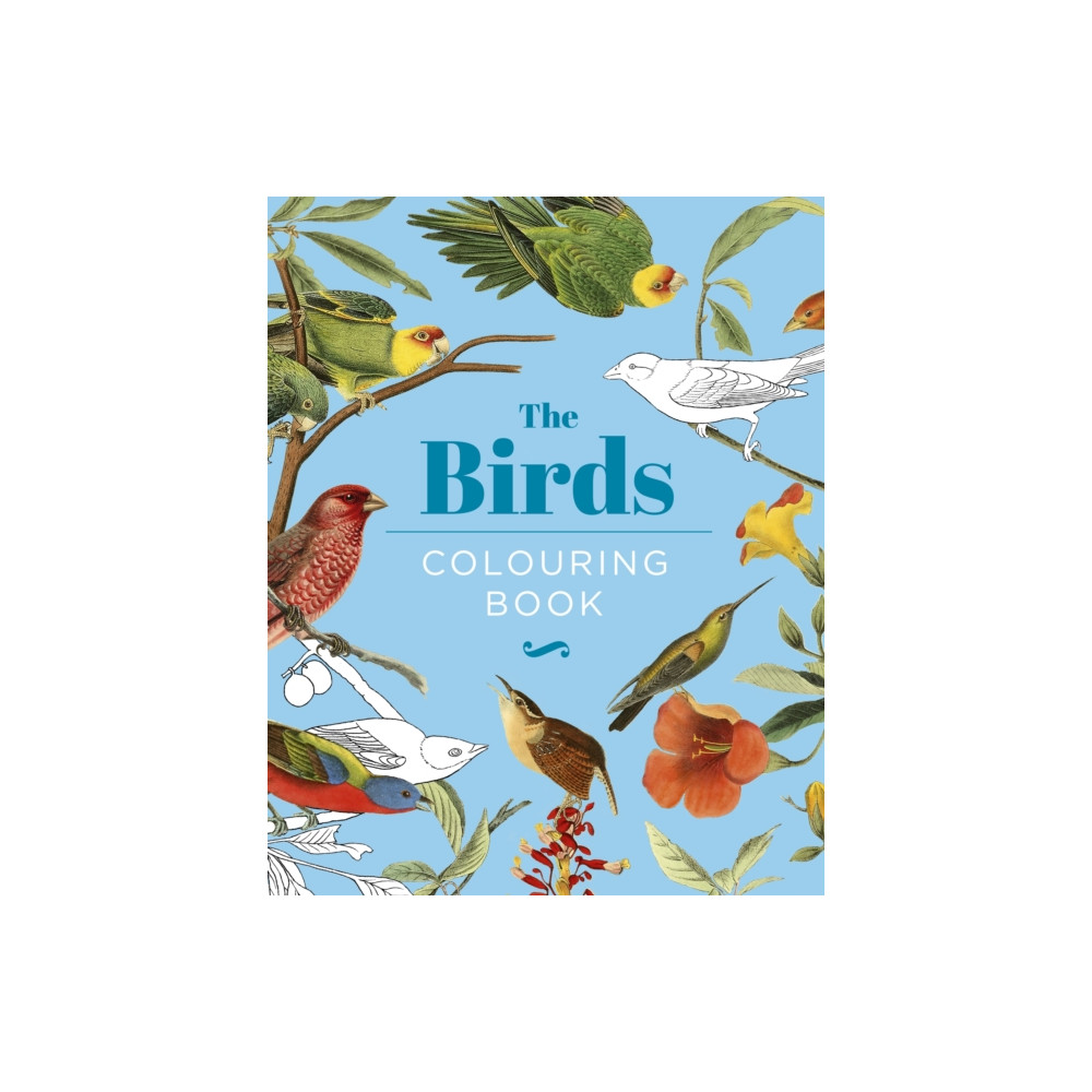 Produktbild för The Birds Colouring Book (inbunden, eng)