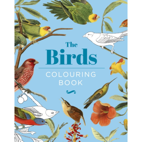 Arcturus publishing ltd The Birds Colouring Book (inbunden, eng)