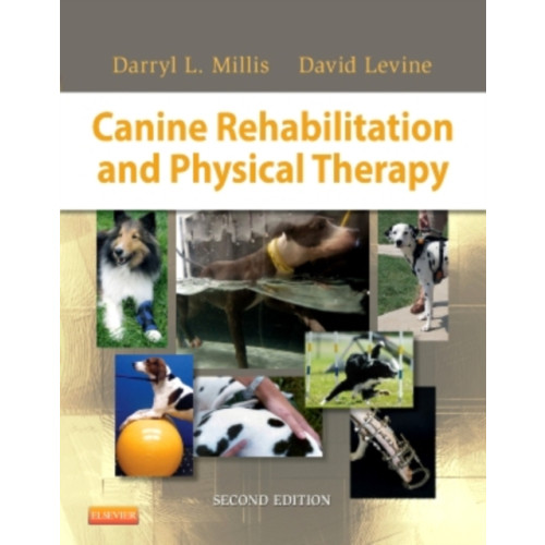 Elsevier Health Sciences Canine Rehabilitation and Physical Therapy (inbunden, eng)