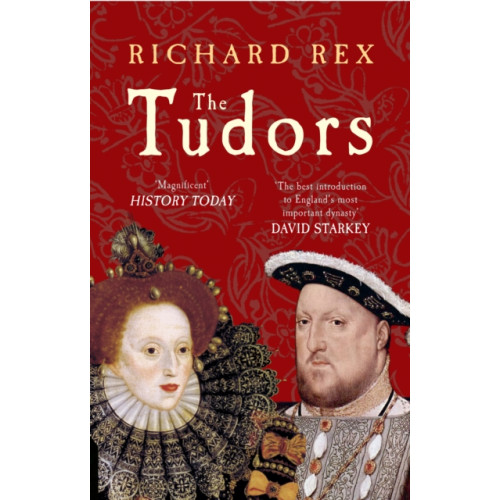 Amberley Publishing The Tudors (häftad, eng)
