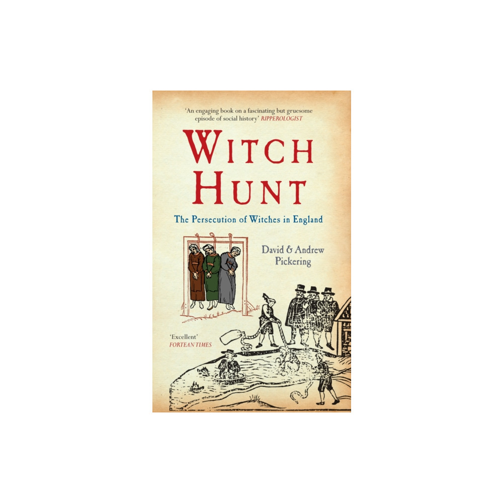 Produktbild för Witch Hunt (häftad, eng)