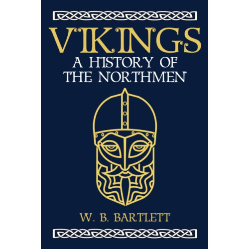 Amberley Publishing Vikings (inbunden, eng)