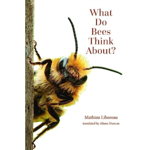 Johns Hopkins University Press What Do Bees Think About? (häftad, eng)