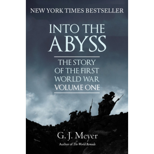 Amberley Publishing Into The Abyss (häftad, eng)