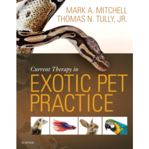 Elsevier Health Sciences Current Therapy in Exotic Pet Practice (inbunden, eng)