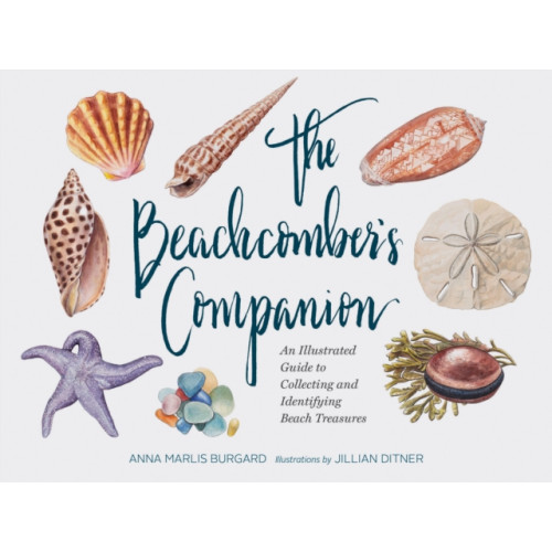 Chronicle Books Beachcomber's Companion (inbunden, eng)