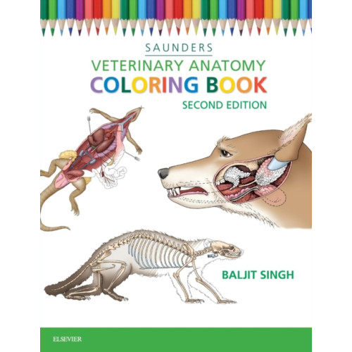 Elsevier Health Sciences Veterinary Anatomy Coloring Book (häftad, eng)