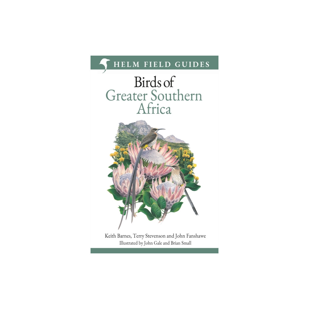 Produktbild för Field Guide to Birds of Greater Southern Africa (häftad, eng)