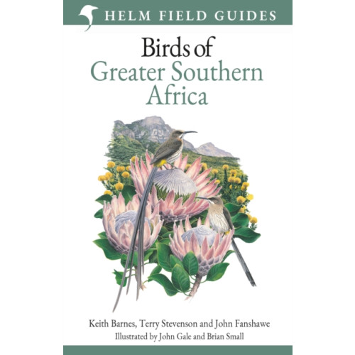 Bloomsbury Publishing PLC Field Guide to Birds of Greater Southern Africa (häftad, eng)