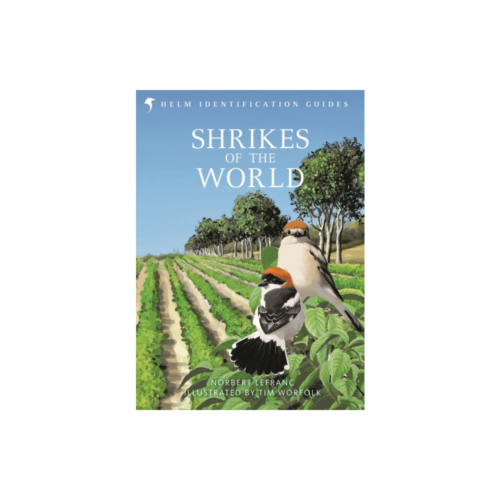 Produktbild för Shrikes of the World (inbunden, eng)