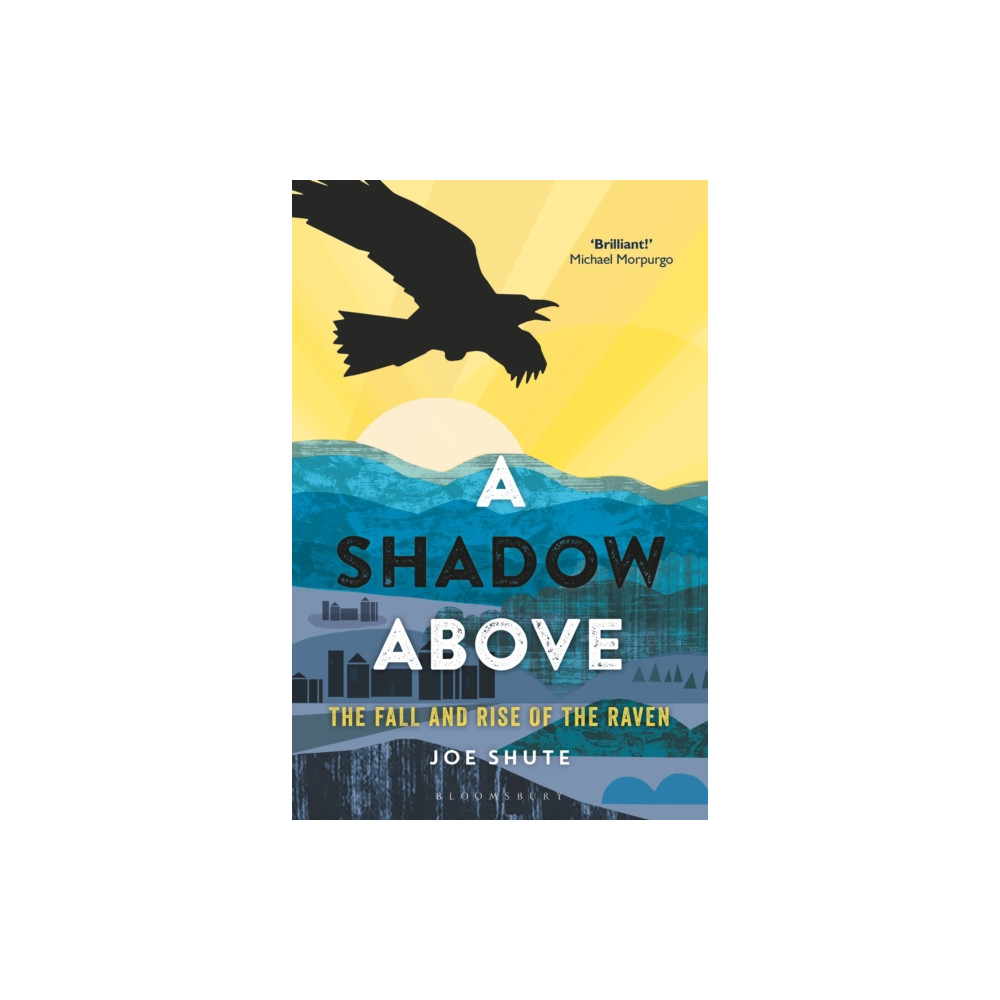 Produktbild för A Shadow Above (häftad, eng)