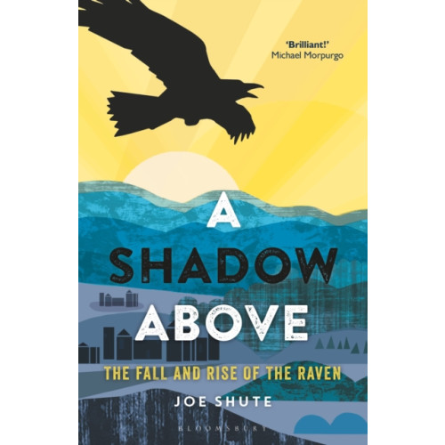 Bloomsbury Publishing PLC A Shadow Above (häftad, eng)