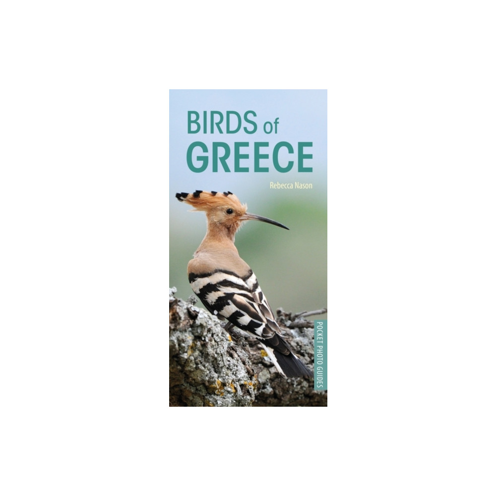 Produktbild för Birds of Greece (häftad, eng)