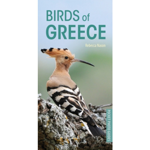 Bloomsbury Publishing PLC Birds of Greece (häftad, eng)