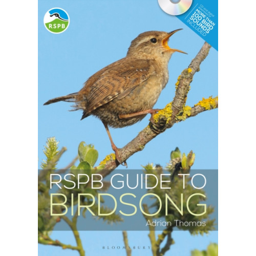 Bloomsbury Publishing PLC RSPB Guide to Birdsong (häftad, eng)