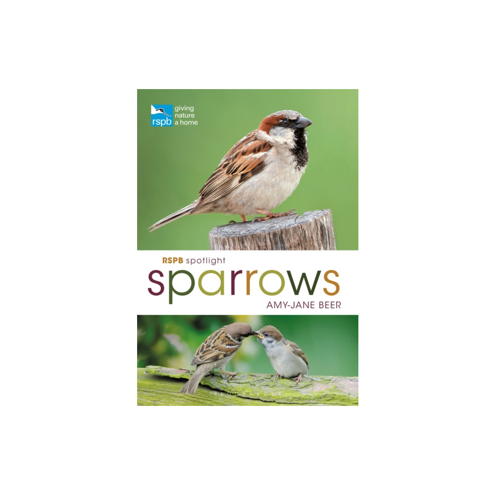 Produktbild för RSPB Spotlight Sparrows (häftad, eng)