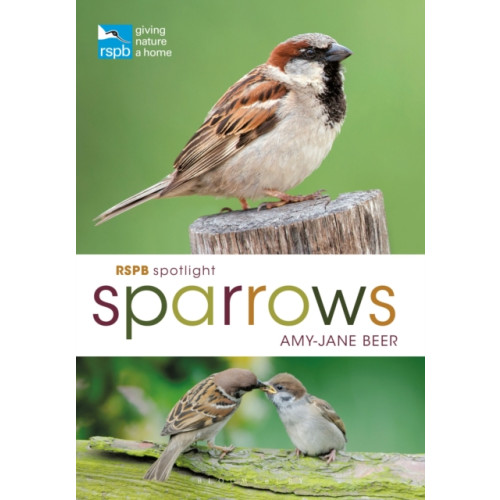 Bloomsbury Publishing PLC RSPB Spotlight Sparrows (häftad, eng)
