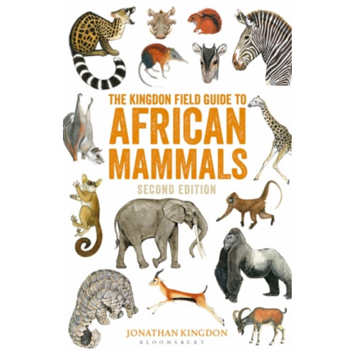 Bloomsbury Publishing PLC The Kingdon Field Guide to African Mammals (häftad, eng)