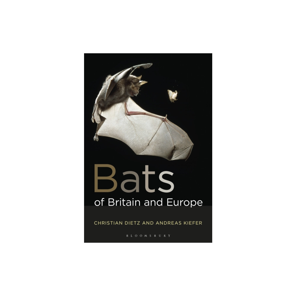 Produktbild för Bats of Britain and Europe (häftad, eng)