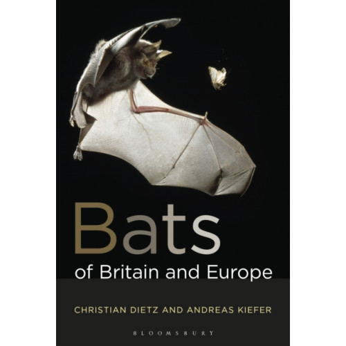 Bloomsbury Publishing PLC Bats of Britain and Europe (häftad, eng)