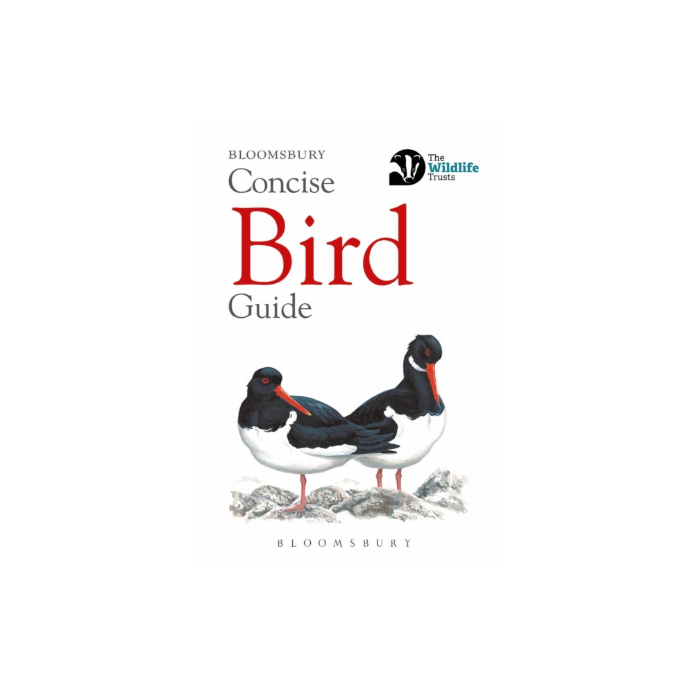 Produktbild för Concise Bird Guide (häftad, eng)
