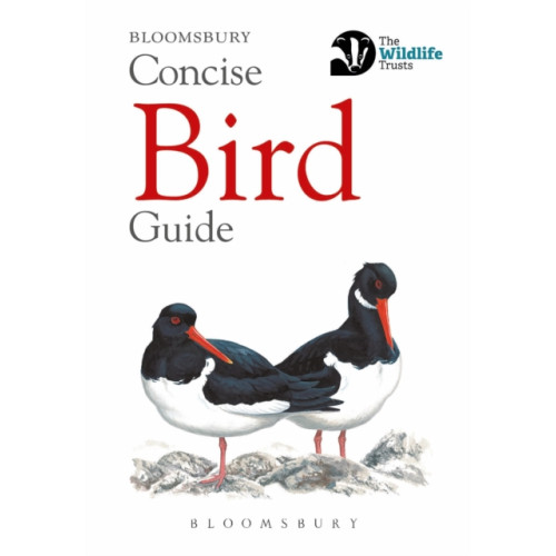 Bloomsbury Publishing PLC Concise Bird Guide (häftad, eng)