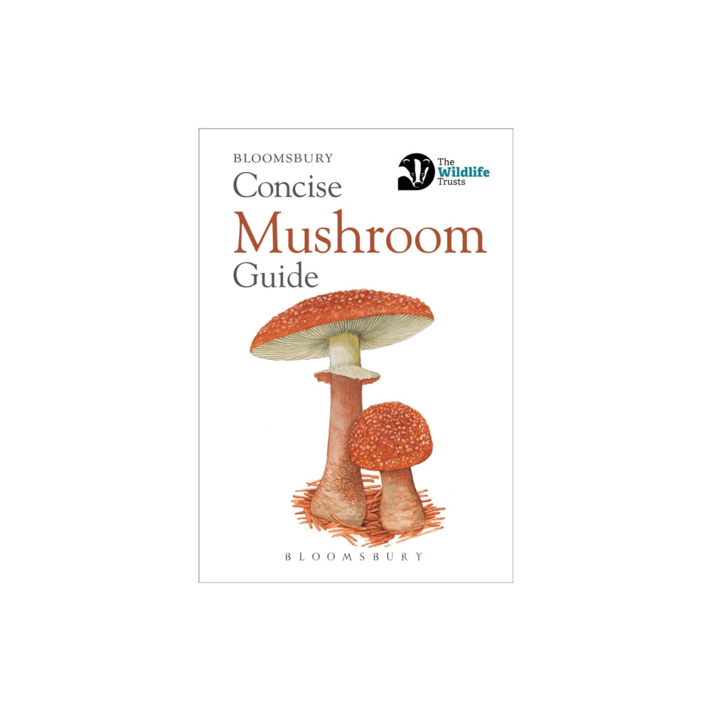 Produktbild för Concise Mushroom Guide (häftad, eng)