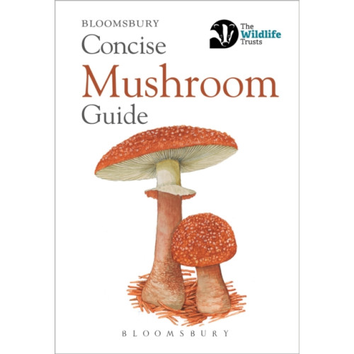 Bloomsbury Publishing PLC Concise Mushroom Guide (häftad, eng)