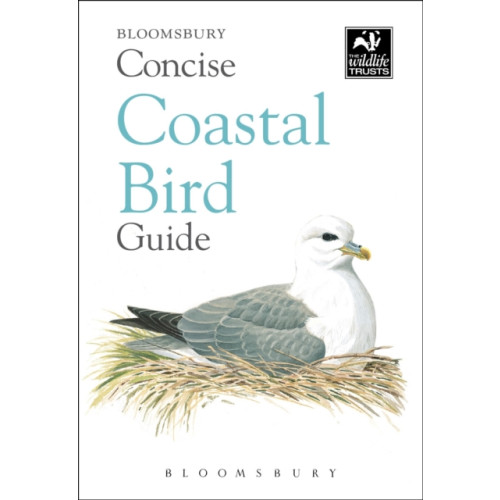Bloomsbury Publishing PLC Concise Coastal Bird Guide (häftad, eng)