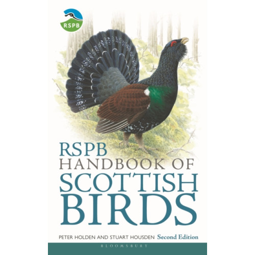 Bloomsbury Publishing PLC RSPB Handbook of Scottish Birds (häftad, eng)