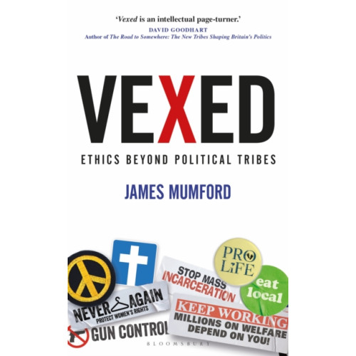 Bloomsbury Publishing PLC Vexed (inbunden, eng)