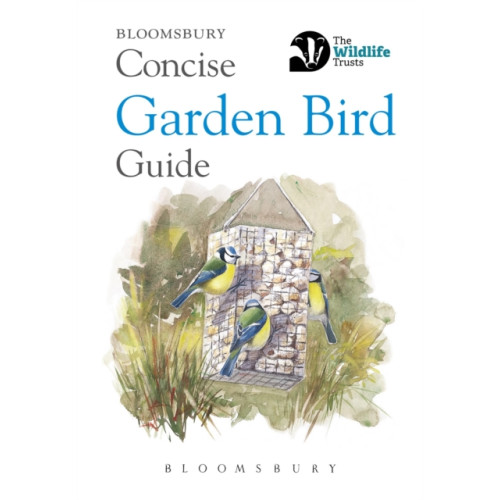Bloomsbury Publishing PLC Concise Garden Bird Guide (häftad, eng)