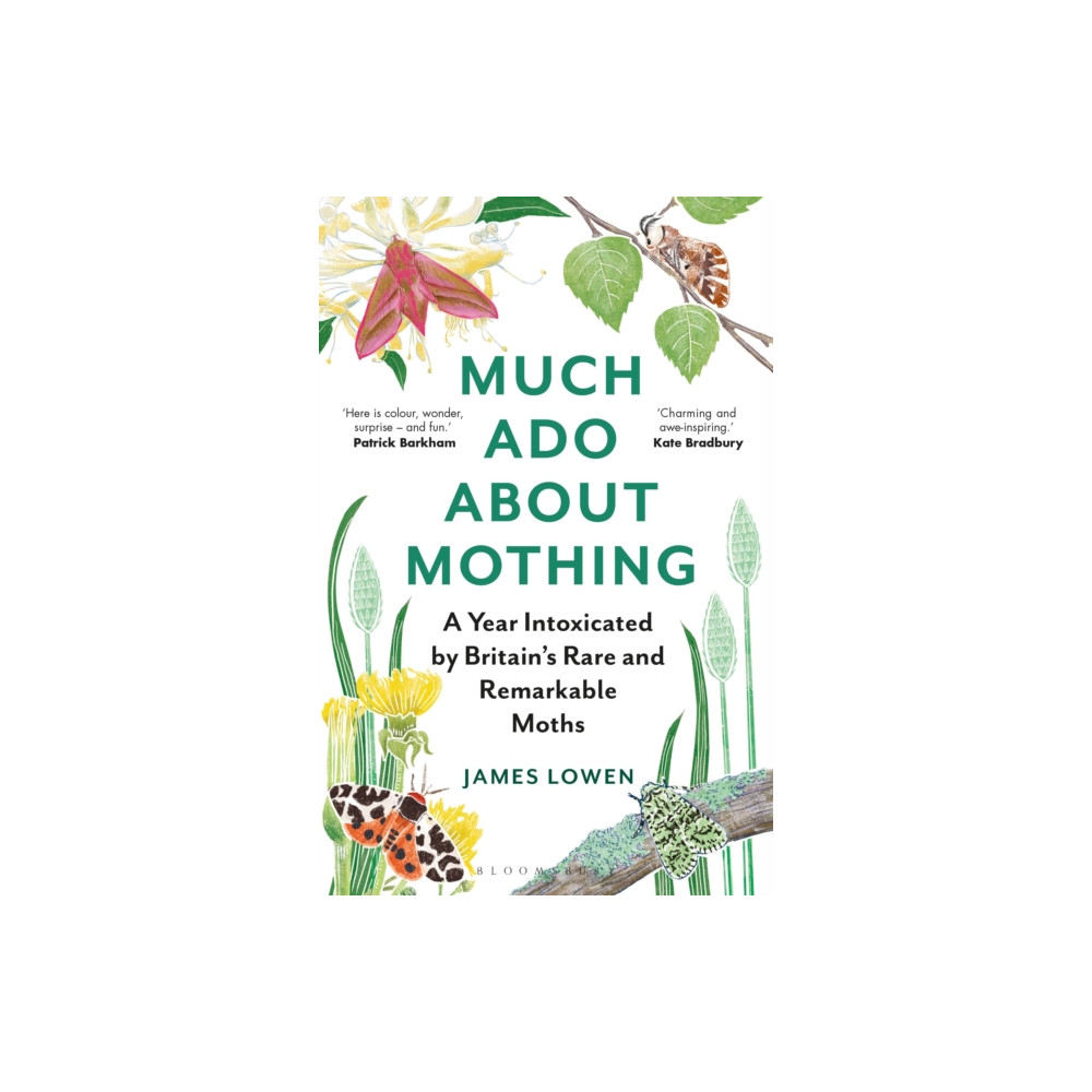 Produktbild för Much Ado About Mothing (häftad, eng)