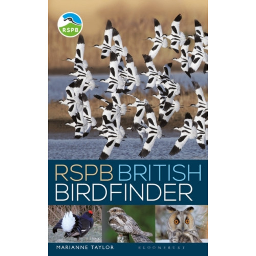 Bloomsbury Publishing PLC RSPB British Birdfinder (häftad, eng)