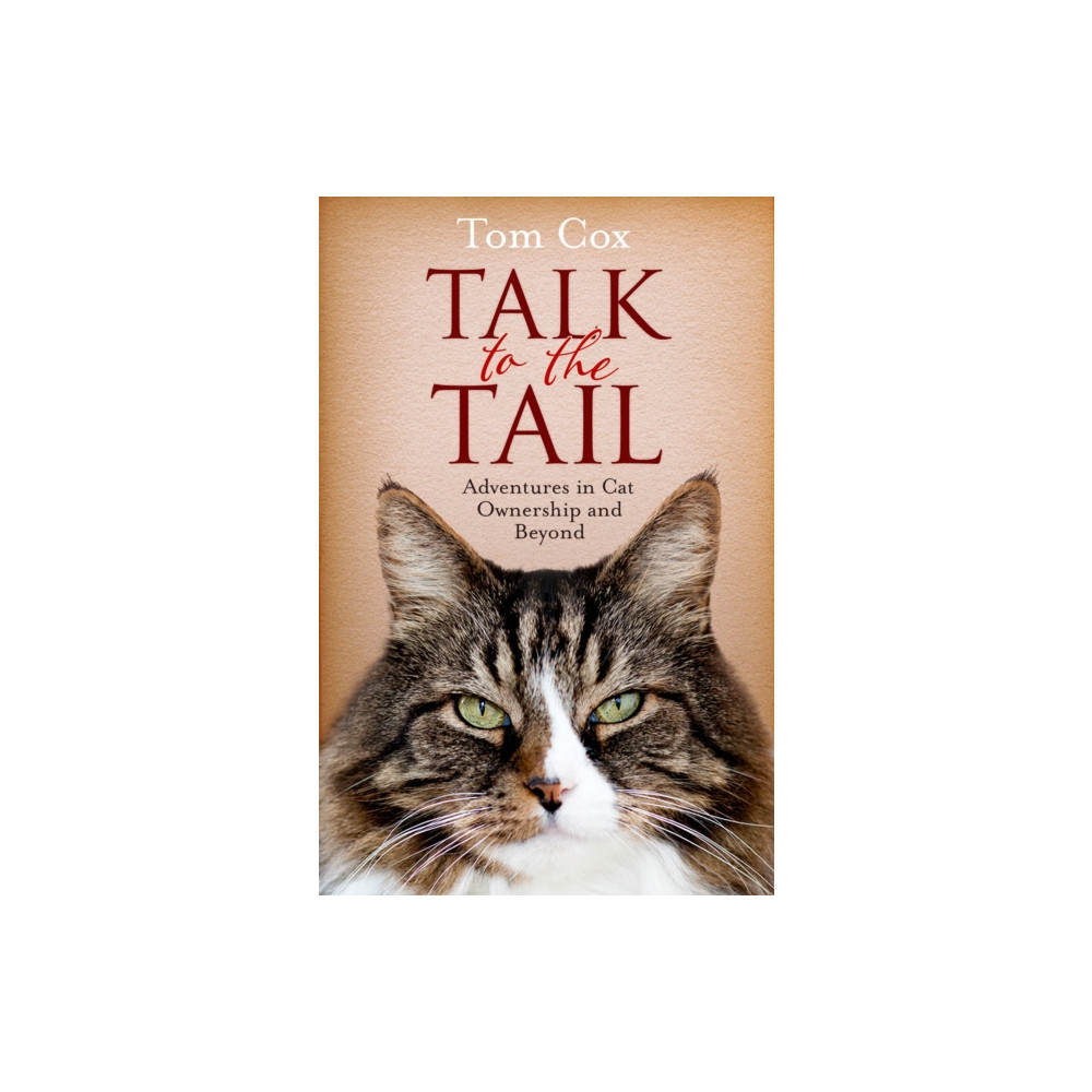 Produktbild för Talk to the Tail (häftad, eng)