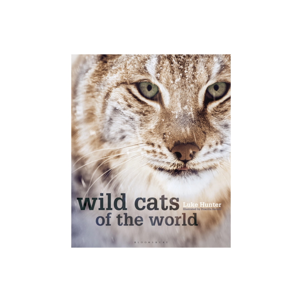 Produktbild för Wild Cats of the World (inbunden, eng)