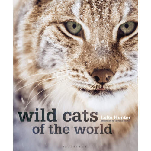 Bloomsbury Publishing PLC Wild Cats of the World (inbunden, eng)