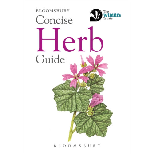 Bloomsbury Publishing PLC Concise Herb Guide (häftad, eng)