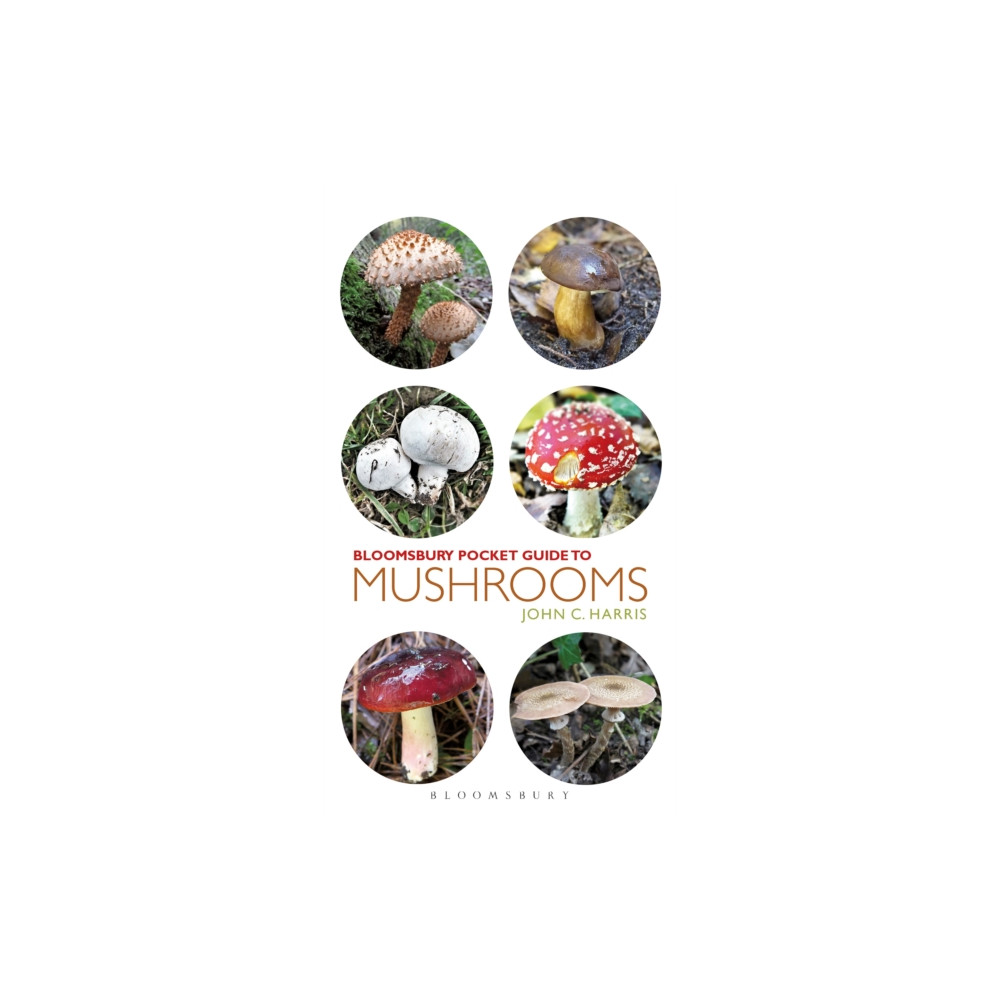 Produktbild för Pocket Guide to Mushrooms (häftad, eng)