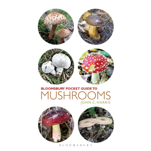 Bloomsbury Publishing PLC Pocket Guide to Mushrooms (häftad, eng)
