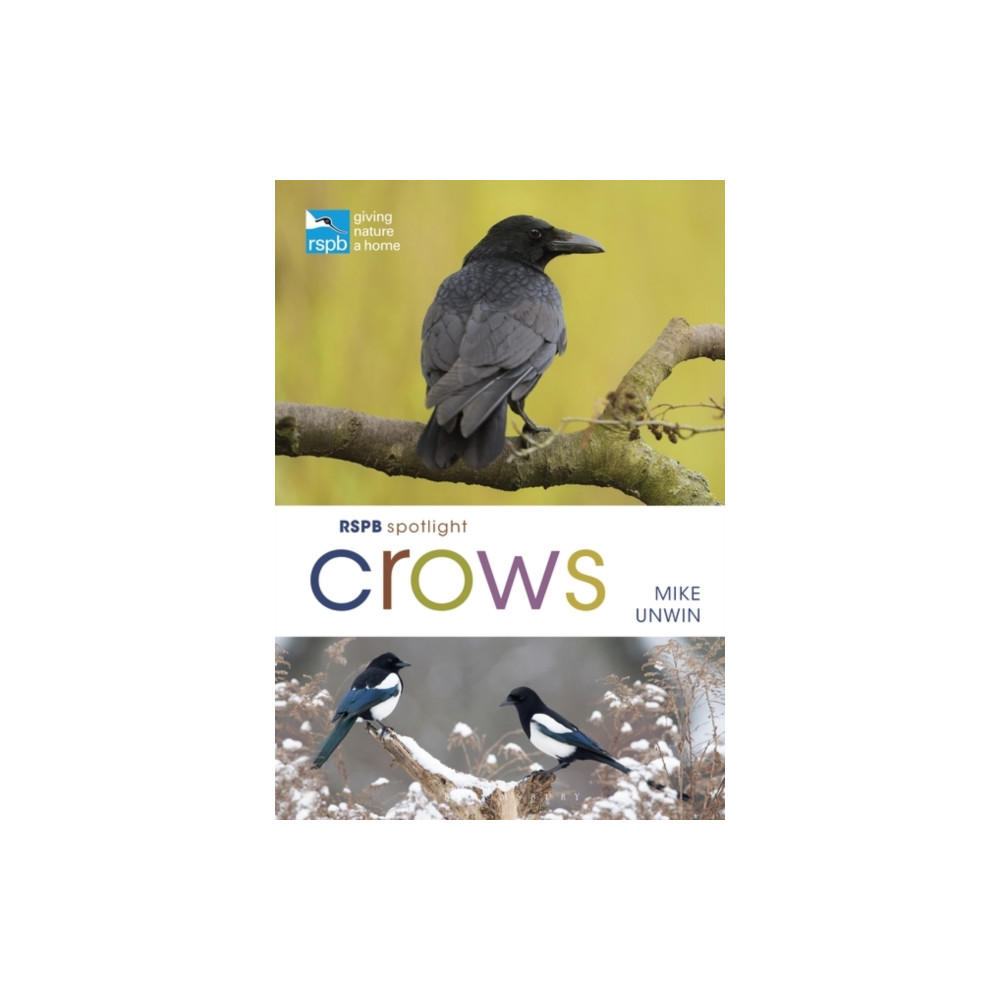 Produktbild för RSPB Spotlight Crows (häftad, eng)