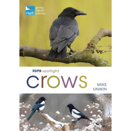 Bloomsbury Publishing PLC RSPB Spotlight Crows (häftad, eng)