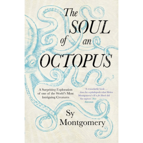 Simon & Schuster Ltd The Soul of an Octopus (häftad, eng)