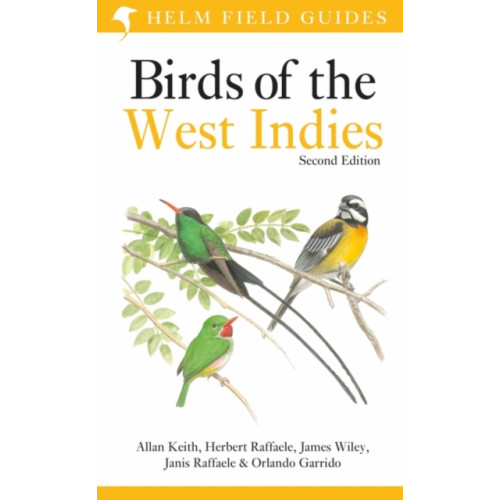 Bloomsbury Publishing PLC Field Guide to Birds of the West Indies (häftad, eng)