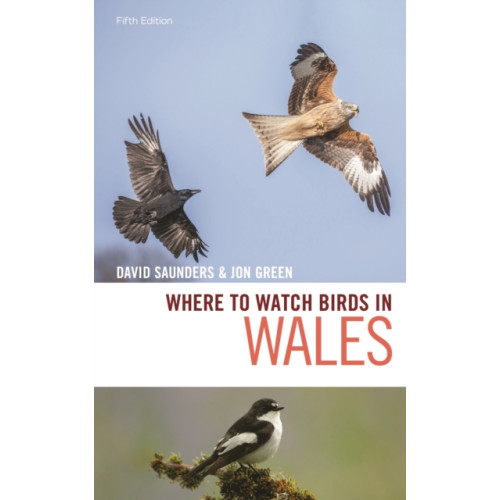 Bloomsbury Publishing PLC Where to Watch Birds in Wales (häftad, eng)