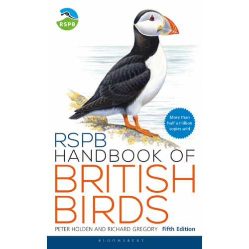 Bloomsbury Publishing PLC RSPB Handbook of British Birds (häftad, eng)