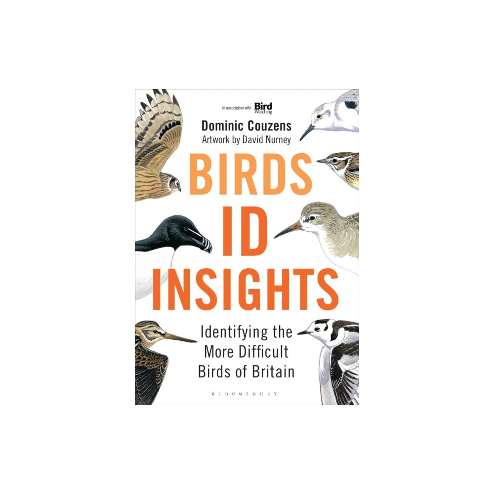 Produktbild för Birds: ID Insights (inbunden, eng)